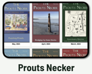 Button Prouts Necker